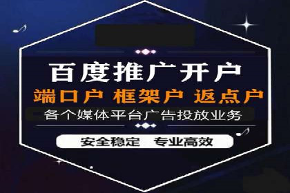 百度推广平台案例剖析：揭秘广告投放策略